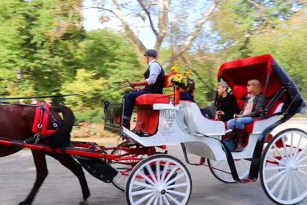 Carriage Ride